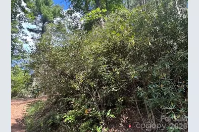 Tbd Jane Lane, Hendersonville, NC 28792 - Photo 4