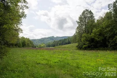 3305 Zacks Fork Road, Lenoir, NC 28645 - Photo 10