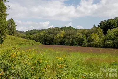 3305 Zacks Fork Road, Lenoir, NC 28645 - Photo 6