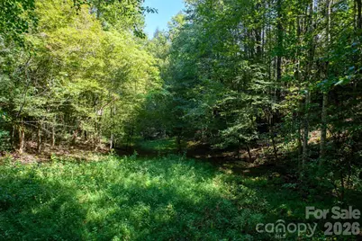 3305 Zacks Fork Road, Lenoir, NC 28645 - Photo 46