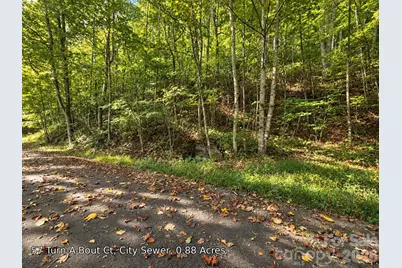 250 Turn-A-Bout Court #57, Maggie Valley, NC 28785 - Photo 18
