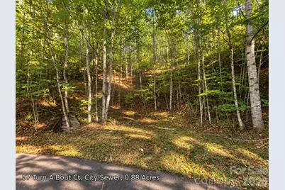250 Turn-A-Bout Court #57, Maggie Valley, NC 28785 - Photo 1