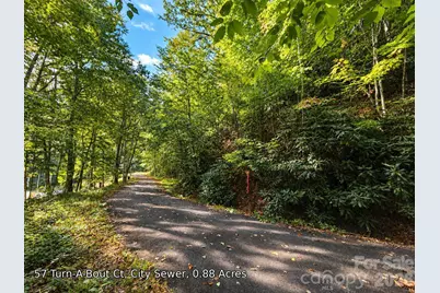 250 Turn-A-Bout Court #57, Maggie Valley, NC 28785 - Photo 8