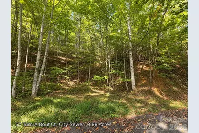 250 Turn-A-Bout Court #57, Maggie Valley, NC 28785 - Photo 12