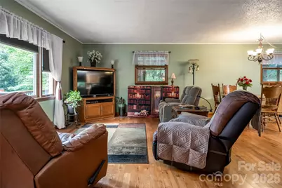 101 Guffey Mountain Road, Fairview, NC 28730 - Photo 10