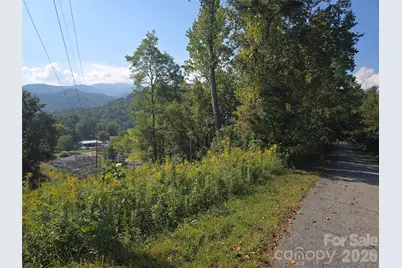 175 River Lane, Canton, NC 28716 - Photo 20