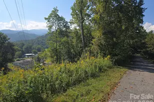 175 River Ln, Canton, NC 28716 - Photo 20