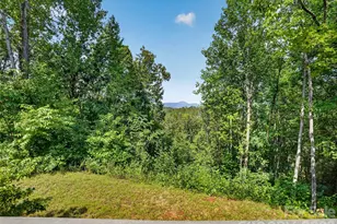 484 Briar Patch Ln, Saluda, NC 28773 - Photo 2