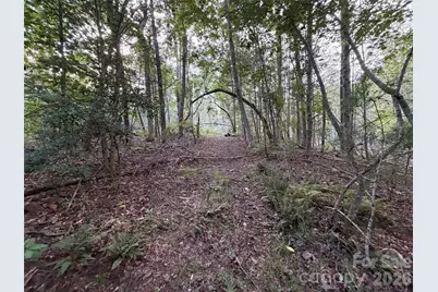 V/L Vein Mountain Road, Nebo, NC 28761 - Photo 8