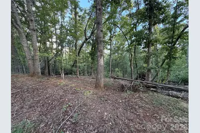 V/L Vein Mountain Road, Nebo, NC 28761 - Photo 22