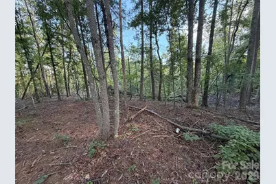 V/L Vein Mountain Road, Nebo, NC 28761 - Photo 28