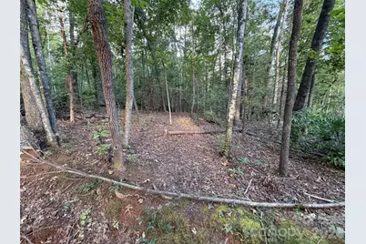 V/L Vein Mountain Road, Nebo, NC 28761 - Photo 14