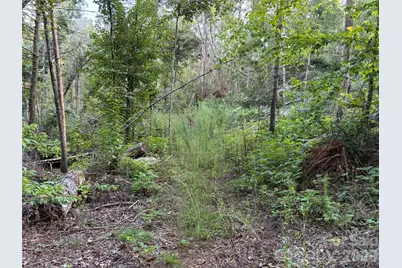 V/L Vein Mountain Road, Nebo, NC 28761 - Photo 16