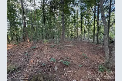 V/L Vein Mountain Road, Nebo, NC 28761 - Photo 26