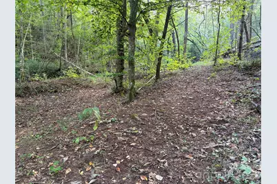 V/L Vein Mountain Road, Nebo, NC 28761 - Photo 10
