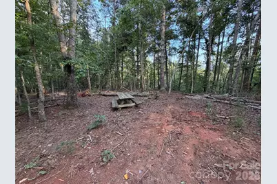 V/L Vein Mountain Road, Nebo, NC 28761 - Photo 30