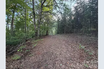 V/L Vein Mountain Road, Nebo, NC 28761 - Photo 24
