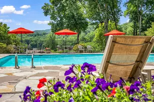 121 Firefly Cove, Lake Lure, NC 28746 - Photo 38