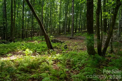 185 McKinney Road, Etowah, NC 28729 - Photo 24