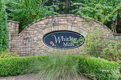 138 Whitley Mills Road, Fort Mill, SC 29708 - Photo 48
