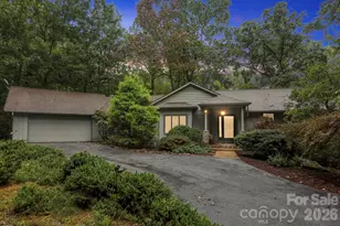 9 Laurel Forest Dr, Horse Shoe, NC 28742 - Photo 1