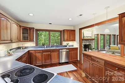 9 Laurel Forest Drive, Horse Shoe, NC 28742 - Photo 12