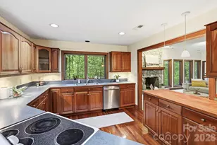 9 Laurel Forest Dr, Horse Shoe, NC 28742 - Photo 12