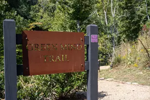 6 River Run, Asheville, NC 28804 - Photo 40