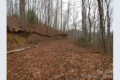 00 Henry Road, Sylva, NC 28779 - Photo 10