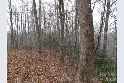 00 Henry Road, Sylva, NC 28779 - Photo 14