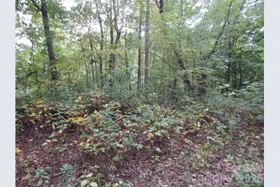 00 Henry Road, Sylva, NC 28779 - Photo 20