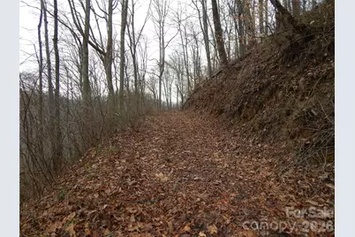 00 Henry Road, Sylva, NC 28779 - Photo 6