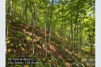 250 & 300 Turn-A-Bout Court, Waynesville, NC 28785 - Photo 6