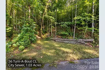 250 & 300 Turn-A-Bout Court, Waynesville, NC 28785 - Photo 4
