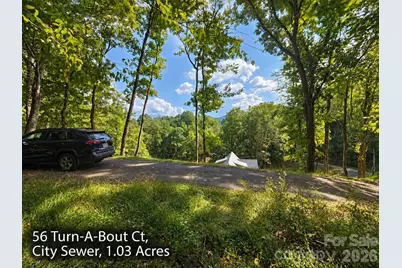 250 & 300 Turn-A-Bout Court, Waynesville, NC 28785 - Photo 1