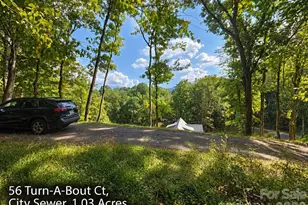 250 & 300 Turn-A-Bout Ct, Waynesville, NC 28785 - Photo 1
