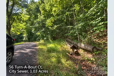 250 & 300 Turn-A-Bout Court, Waynesville, NC 28785 - Photo 2