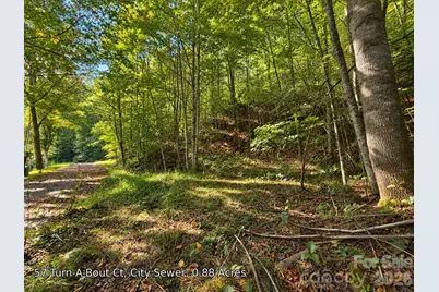 250 & 300 Turn-A-Bout Court, Waynesville, NC 28785 - Photo 16
