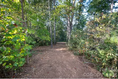 30 Hawberry Court, Asheville, NC 28805 - Photo 8
