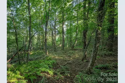 189 Odonald Road #Lot 3, Asheville, NC 28806 - Photo 12