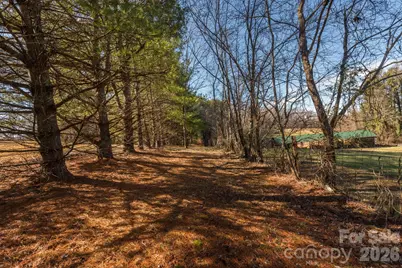 99999 Sunnyview Terrace #A, Asheville, NC 28806 - Photo 6