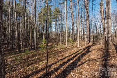 99999 Sunnyview Terrace #A, Asheville, NC 28806 - Photo 10
