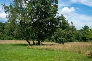 185 McKinney Rd, Etowah, NC 28729 - Photo 22