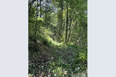 108 Lanning Road, Clyde, NC 28721 - Photo 10