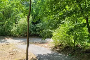138 Buddy Ln, Chimney Rock, NC 28720 - Photo 16