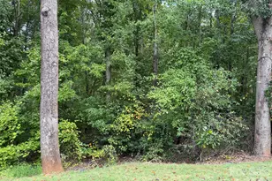 433 19th Ave Ct NE, Hickory, NC 28601 - Photo 24