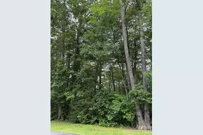 Lot #35 Damselfly Court, Spruce Pine, NC 28777 - Photo 10