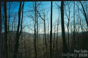 Lot #35 Damselfly Ct, Spruce Pine, NC 28777 - Photo 1