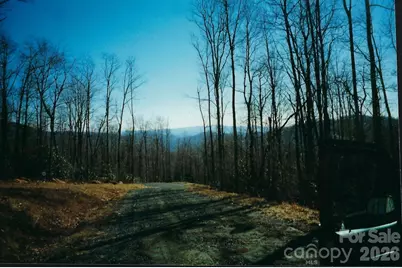 Lot #35 Damselfly Court, Spruce Pine, NC 28777 - Photo 2