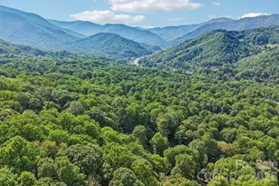 230 Forest Dr, Maggie Valley, NC 28751 - Photo 48